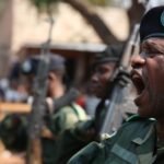 fardc